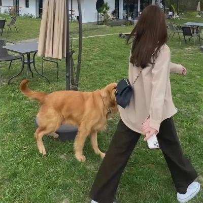 蹩脚魔术师:糟糕的圣诞节