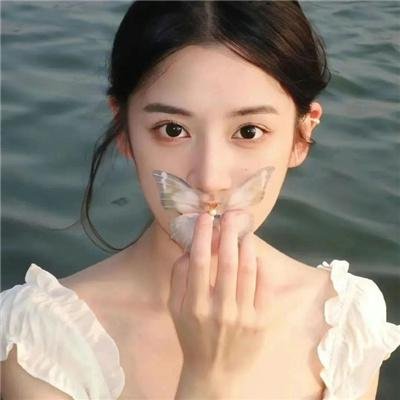 呆仔缉私